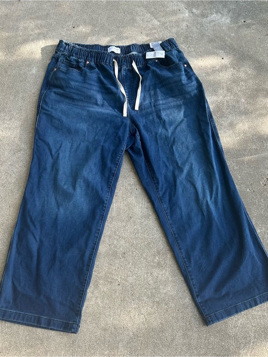 Lane Bryant Denim - NWT Lane Bryant High Rise Straight Pull On Jeans Pants Size 20 NEW Dark Blue